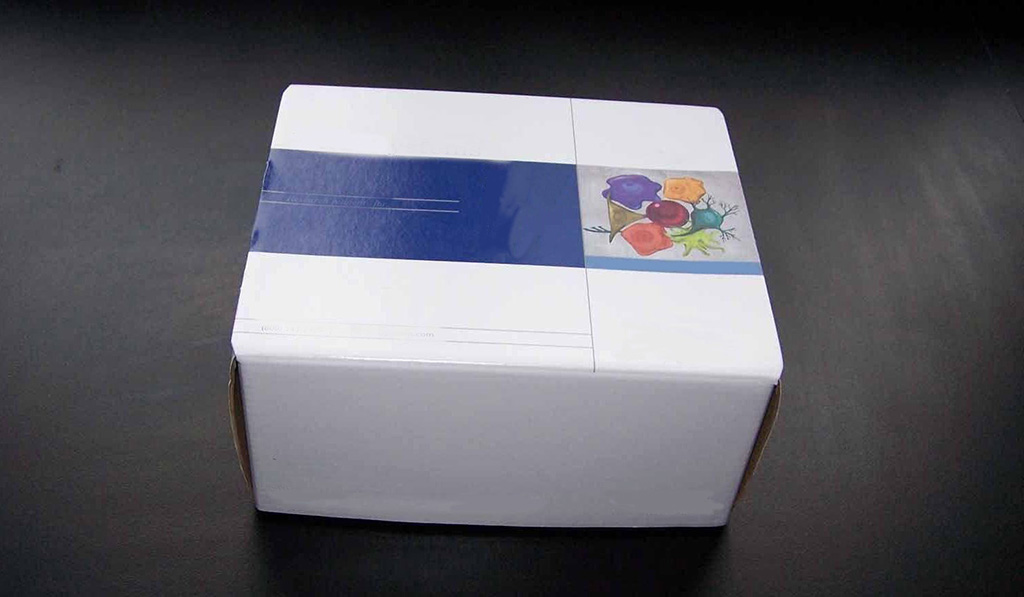Amplite 荧光法生物素定量检测试剂盒,Amplite Colorimetric Biotin Quantitation Kit