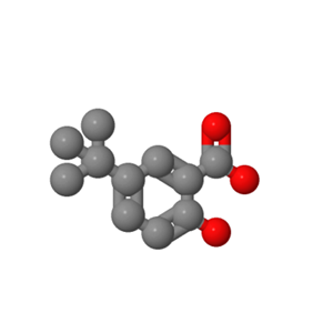 2-羟基-5-叔丁基苯甲酸