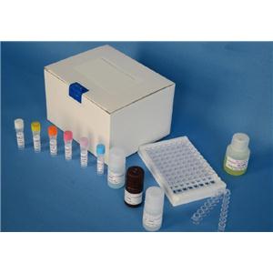 荧光法赖氨酰氧化酶检测试剂盒,红色荧光