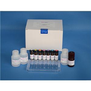 NADH检测试剂盒(比色法),Amplite Colorimetric NADH Assay Kit