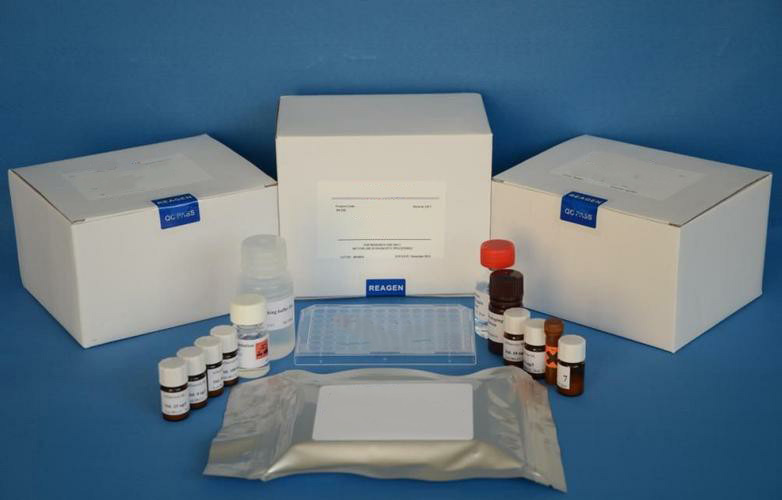 Human Chromosome 1 Open Reading Frame 56 (C1orf56) ELISA Kit,Human Chromosome 1 Open Reading Frame 56 (C1orf56) ELISA Kit