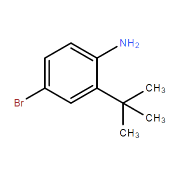 4-溴-2-叔丁基苯胺,4-Bromo-2-tert-butyl-phenylamine