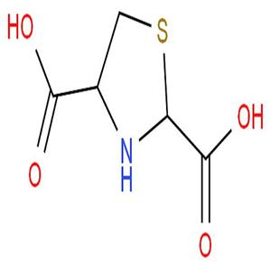 噻二酸,1,3-Thiazolane-2,4-dicarboxylic acid