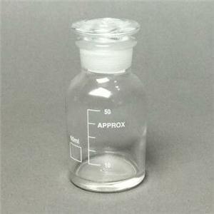 Prostaglandin E synthase 3 (PTGES3) Antibody,Prostaglandin E synthase 3 (PTGES3) Antibody