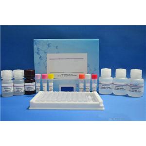 Human Mammaglobin-A (SCGB2A2) ELISA Kit