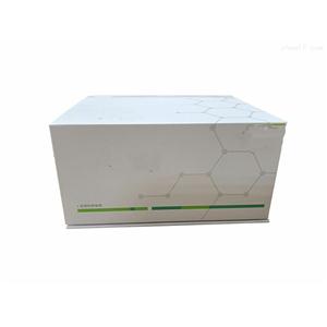 Human Dermcidin (DCD) ELISA Kit