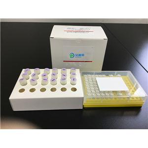 WWP1单克隆抗体(M01),克隆号1A7,WWP1 monoclonal antibody (M01), clone 1A7