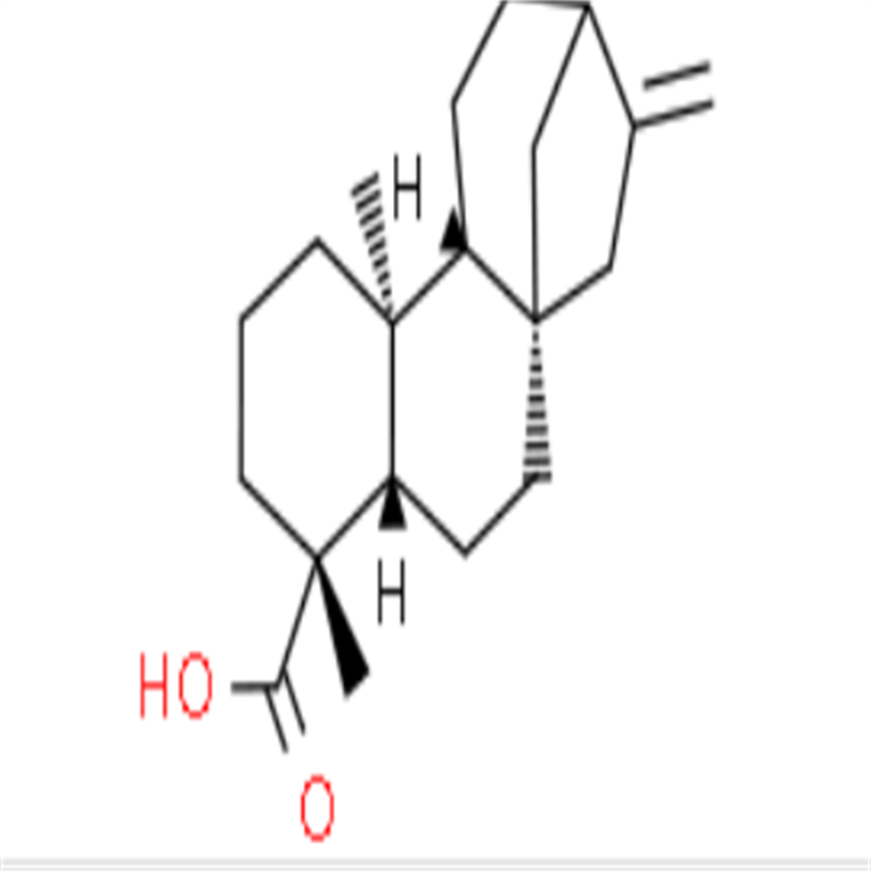 贝壳杉烯酸,kaurenoic acid