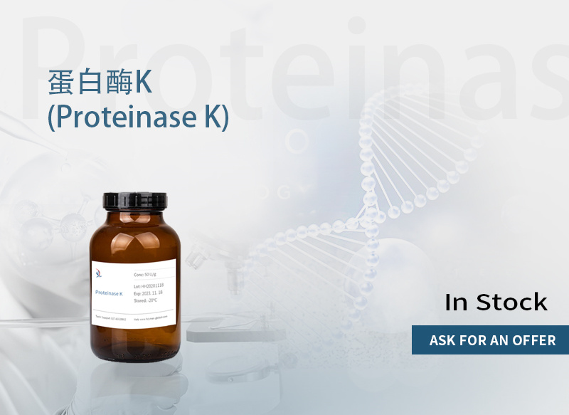 蛋白酶K 冻干粉,Proteinase K