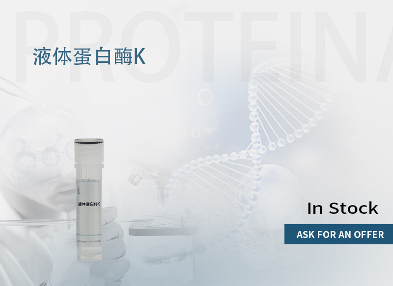 蛋白酶k,Proteinase K