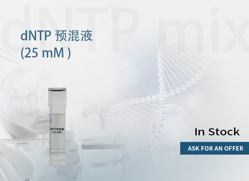 脱氧核苷酸,dNTP Solution