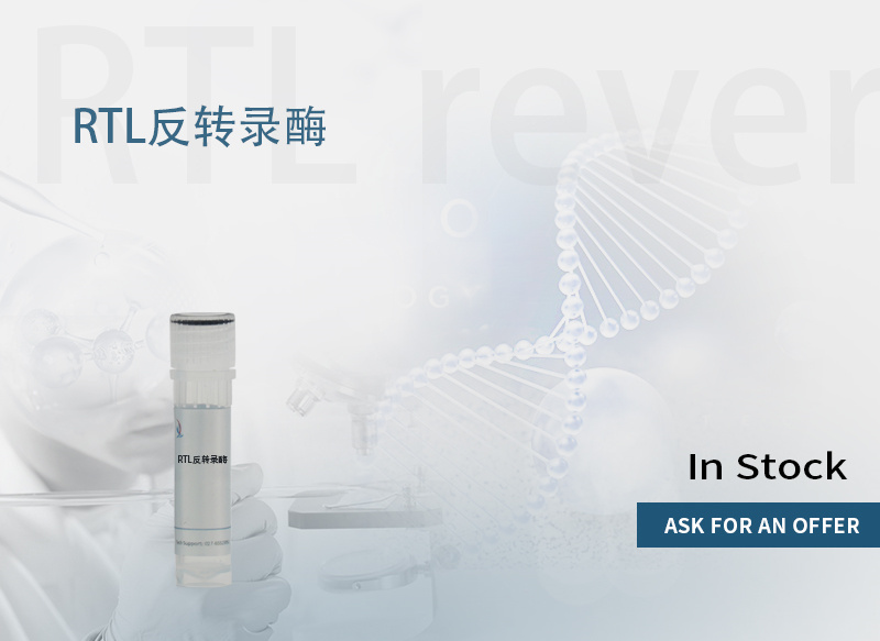 RTL 反转录酶,RTL reverse transcriptase