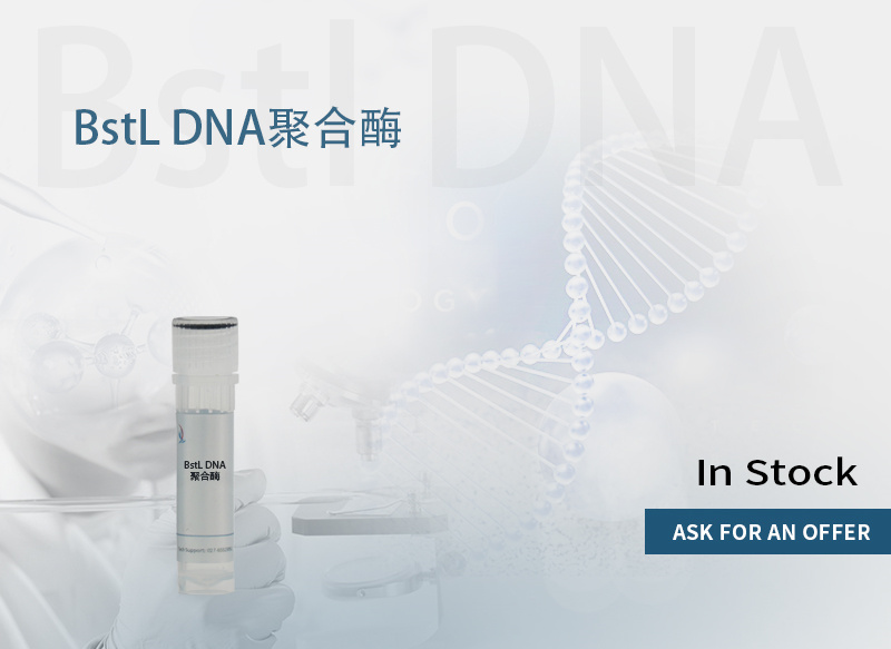 BstL DNA 聚合酶,Bst DNA Polymerase