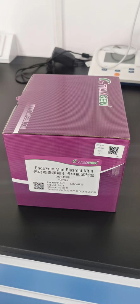 WDR79純化的MaxPab兔源多克隆抗體(D01P),WDR79 purified MaxPab rabbit polyclonal antibody (D01P)