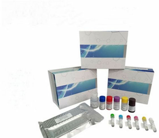 血红素检测试剂盒,Hemin Assay Kit