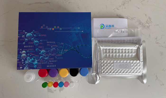 线粒体DNA分离试剂盒,Mitochondrial DNA Isolation Kit