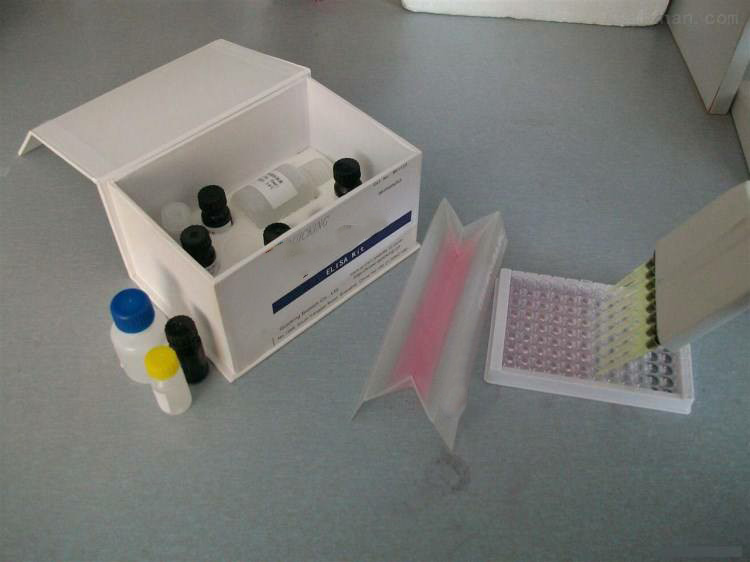 登革病毒IgG ELISA试剂盒,Dengue virus IgG ELISA Kit