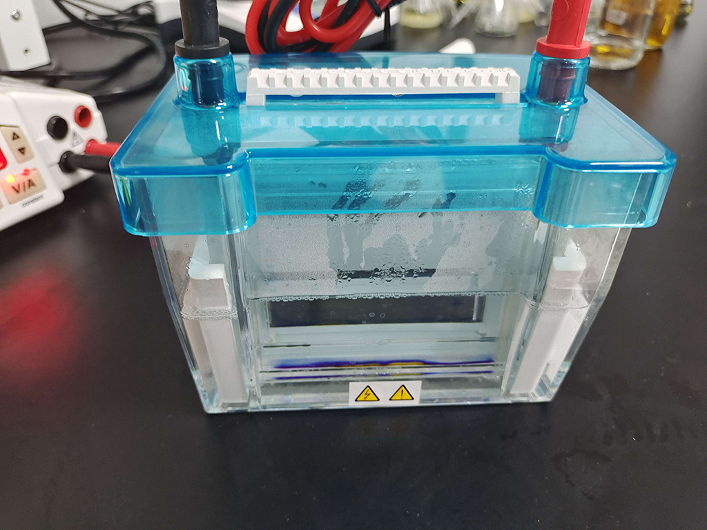 鈣含量測定試劑盒（比色法）,Calcium Assay Kit (Colorimetric)