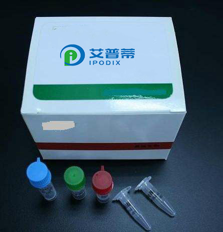 ADP / ATP比值检测试剂盒,ADP/ATP Ratio Assay Kit