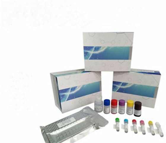 Estrone ELISA试剂盒,Estrone ELISA Kit