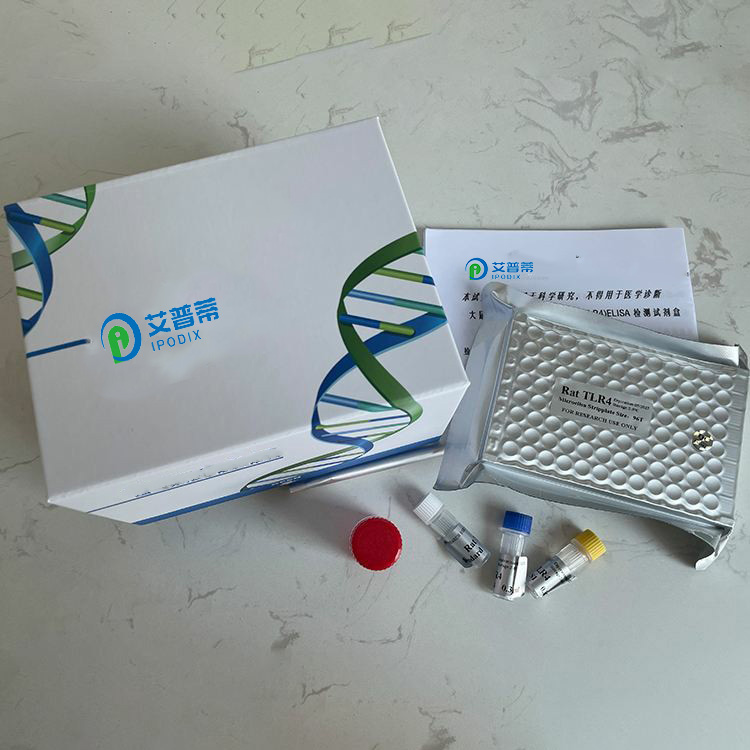 葡萄糖摄取检测试剂盒,Glucose Uptake Assay Kit