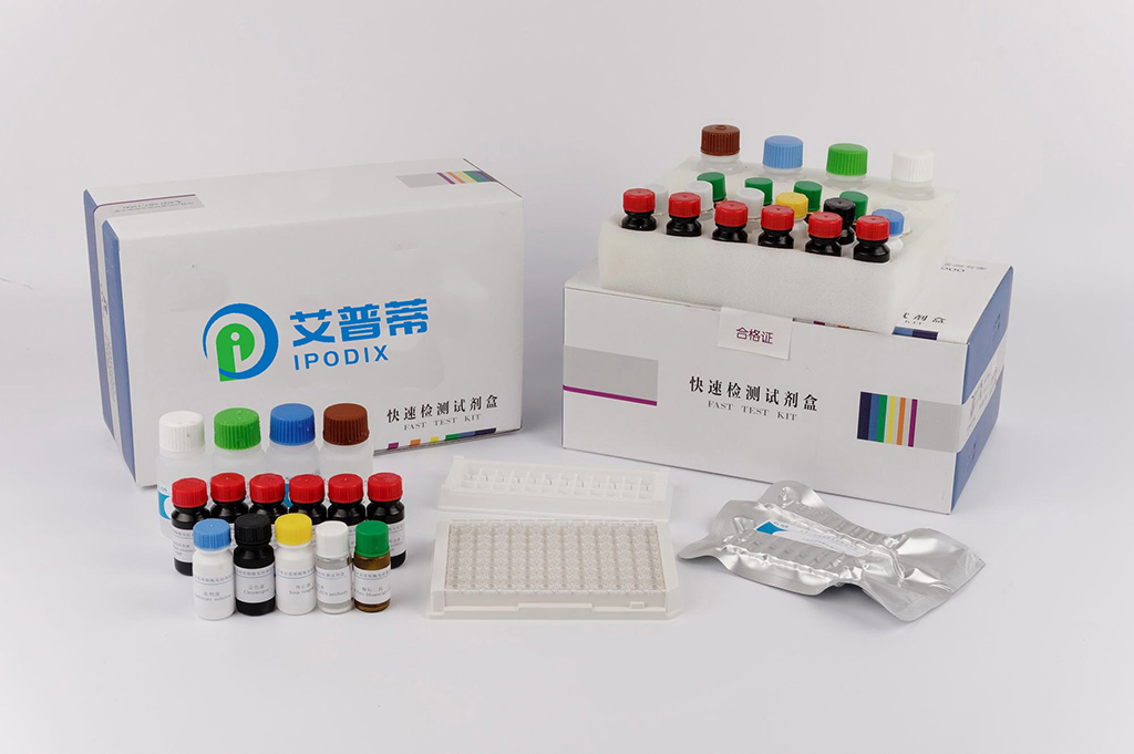 Prkcq單克隆抗體，克隆M217,Prkcq monoclonal antibody, clone M217