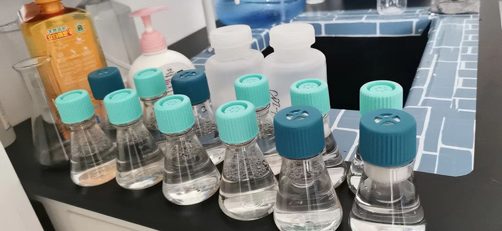 CFHR1 (Human) Recombinant Protein (P01),CFHR1 (Human) Recombinant Protein (P01)