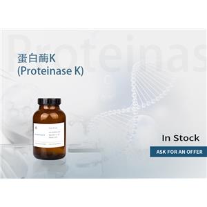 蛋白酶K（ Proteinase K ）冻干粉  39450-01-6
