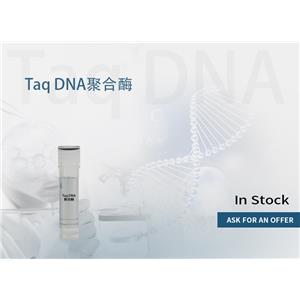 Taq DNA聚合酶