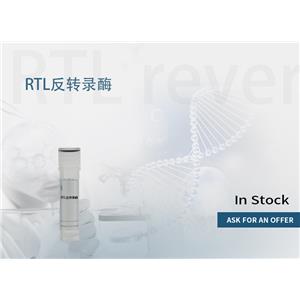 RTL 反转录酶,RTL reverse transcriptase