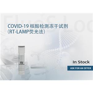 RT-LAMP 核酸扩增试剂（荧光染料法）
