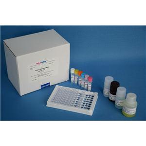 NUMA1純化的MaxPab兔源多克隆抗體(D01P),NUMA1 purified MaxPab rabbit polyclonal antibody (D01P)