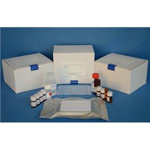 HDAC活性测定试剂盒（比色）