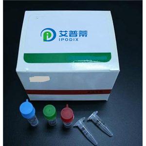 磷酸盐检测试剂盒（比色）