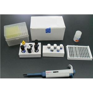柠檬酸盐测定试剂盒,Citrate Assay Kit