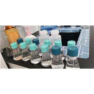 孔雀石绿磷酸盐检测试剂盒