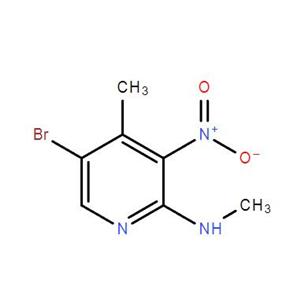 5-溴-N,4-二甲基-3-硝基吡啶-2-胺