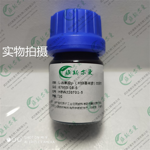 L-谷氨酸γ-（对硝基苯胺）盐酸盐,L-Glutamic acid γ-(p-nitroanilide) hydrochloride