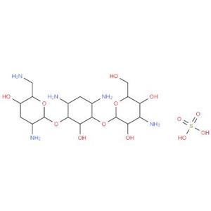 硫酸妥布霉素,Tobramycin Sulfate