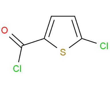5-氯-2-酰氯噻吩,5-Chorothiophene-2-carbonyl chloride