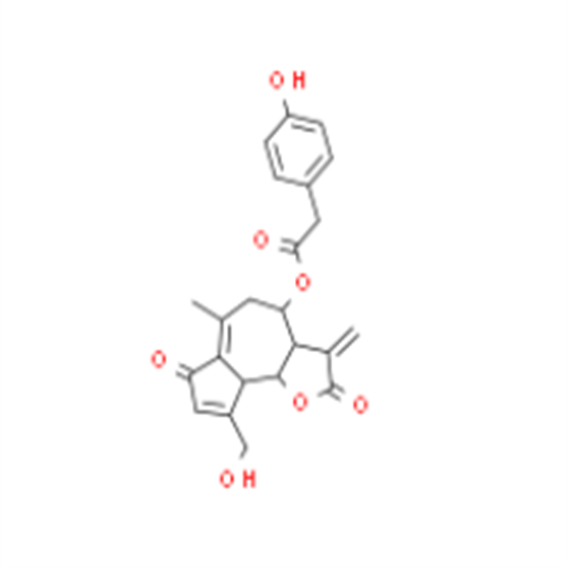 黃色當歸醇,xanthoangelol