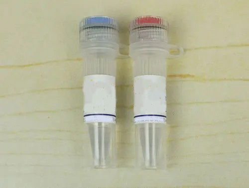 EGFR / CEN7p FISH探針,EGFR/CEN7p FISH Probe