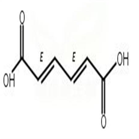 反,反-粘康酸,trans,trans-Muconic acid