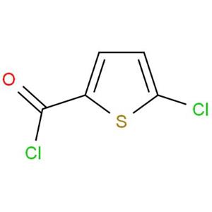 5-氯-2-酰氯噻吩,5-Chorothiophene-2-carbonyl chloride