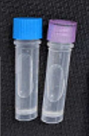 CALCRL多克隆抗体（A01）,CALCRL polyclonal antibody (A01)