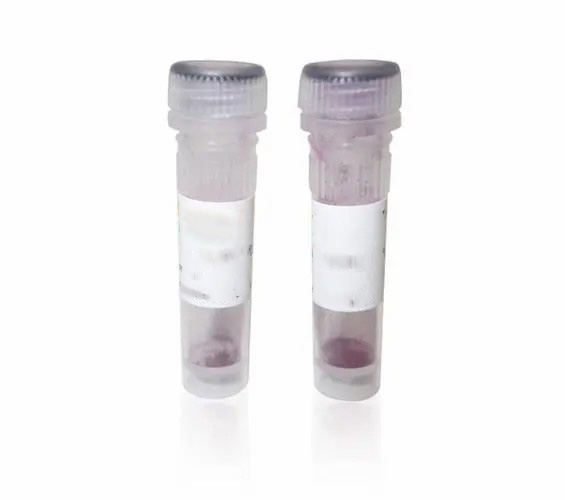 CRP單克隆抗體，克隆C1,CRP monoclonal antibody, clone C1