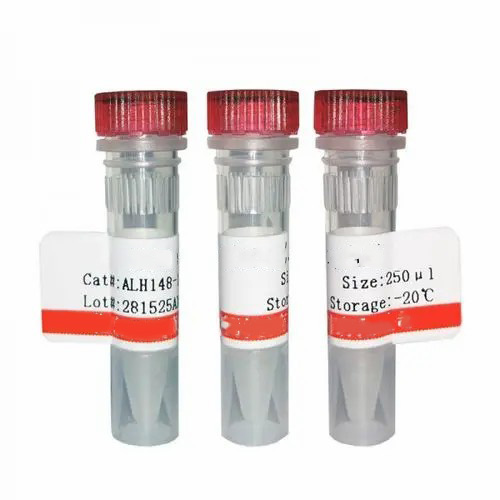 FCGR3A單克隆抗體，克隆3G8（PE）,FCGR3A monoclonal antibody, clone 3G8 (PE)