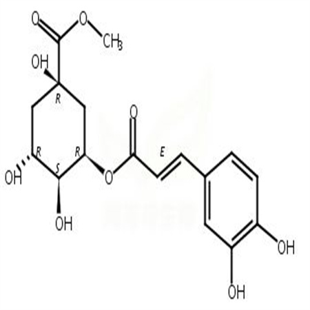 新绿原酸甲酯,Neochlorogenic acid methyl ester