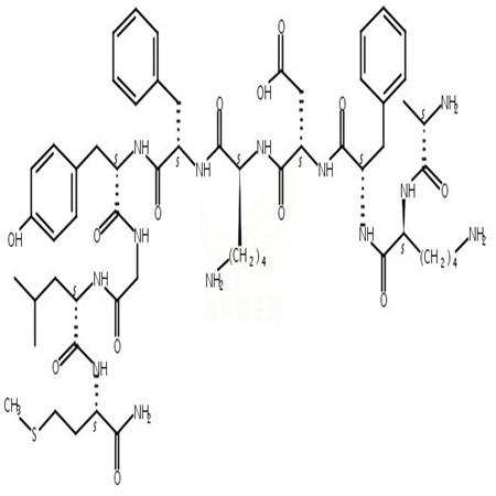 Scyliorhinin I