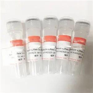 腮腺炎病毒单克隆抗体，克隆HM049